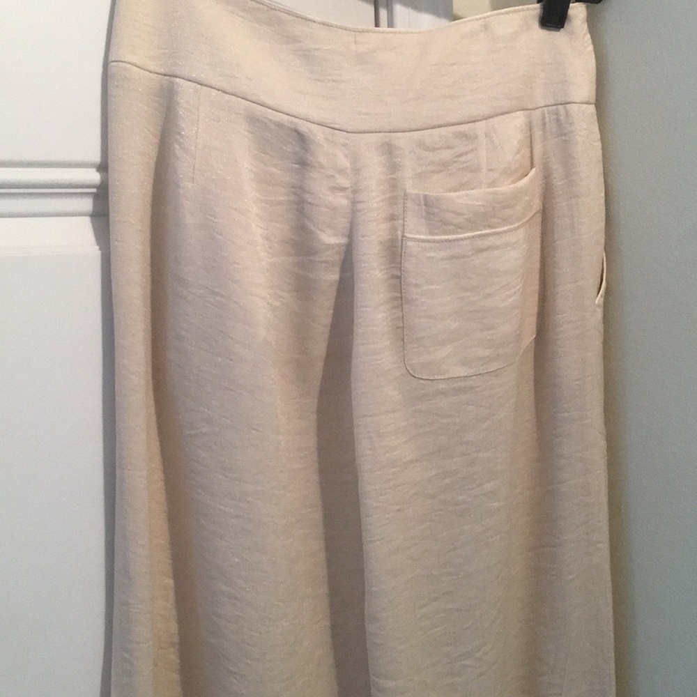 BCBG shimmery pearl colored wide leg pants.